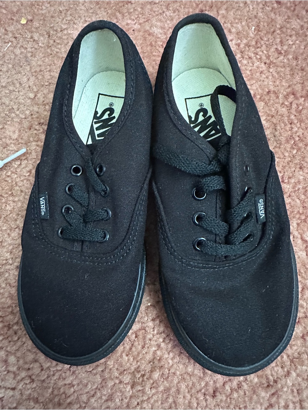 Vans Black Low-Top Canvas Sneakers